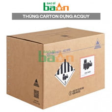 Thùng carton đựng pin acquy