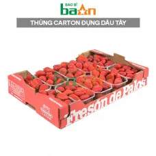 Thùng carton đựng dâu tây