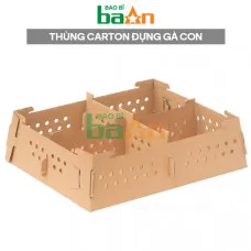 Thùng carton đựng gà con