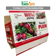 Thùng carton đựng mận