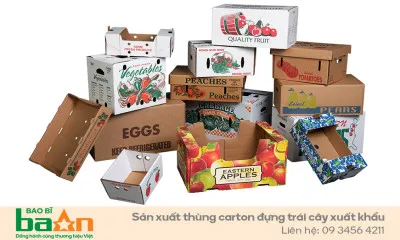 Thùng carton và vai trò quan trọng trong thương mại điện tử