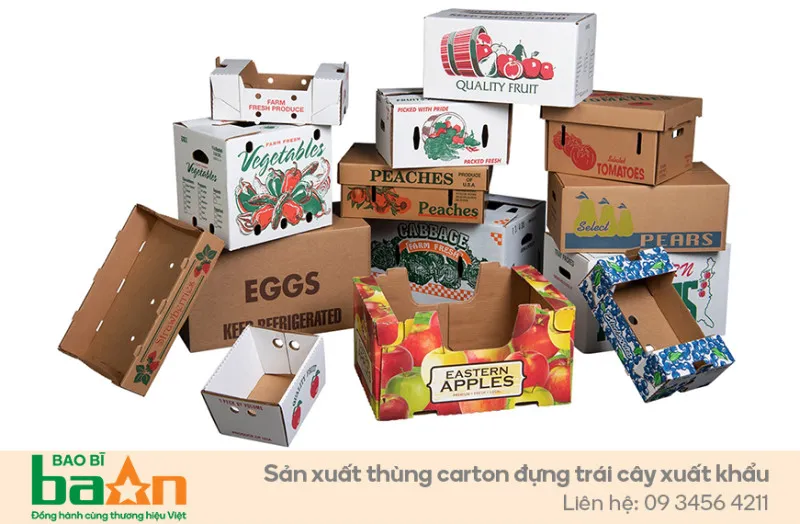 Thùng carton và vai trò quan trọng trong thương mại điện tử