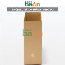 Thùng carton đựng tủ hồ sơ