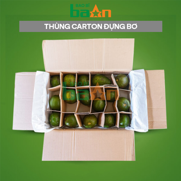 thung-carton-dung-bo1